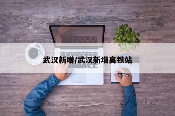 武汉新增/武汉新增高铁站