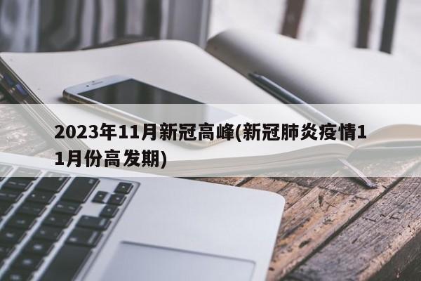 2023年11月新冠高峰(新冠肺炎疫情11月份高发期)