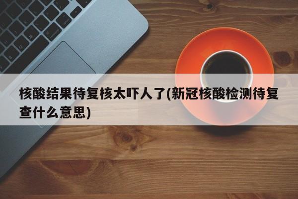 核酸结果待复核太吓人了(新冠核酸检测待复查什么意思)