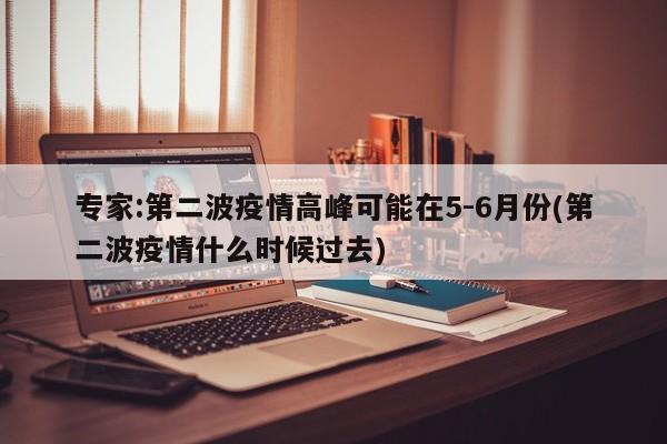 专家:第二波疫情高峰可能在5-6月份(第二波疫情什么时候过去)