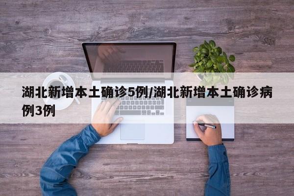 湖北新增本土确诊5例/湖北新增本土确诊病例3例